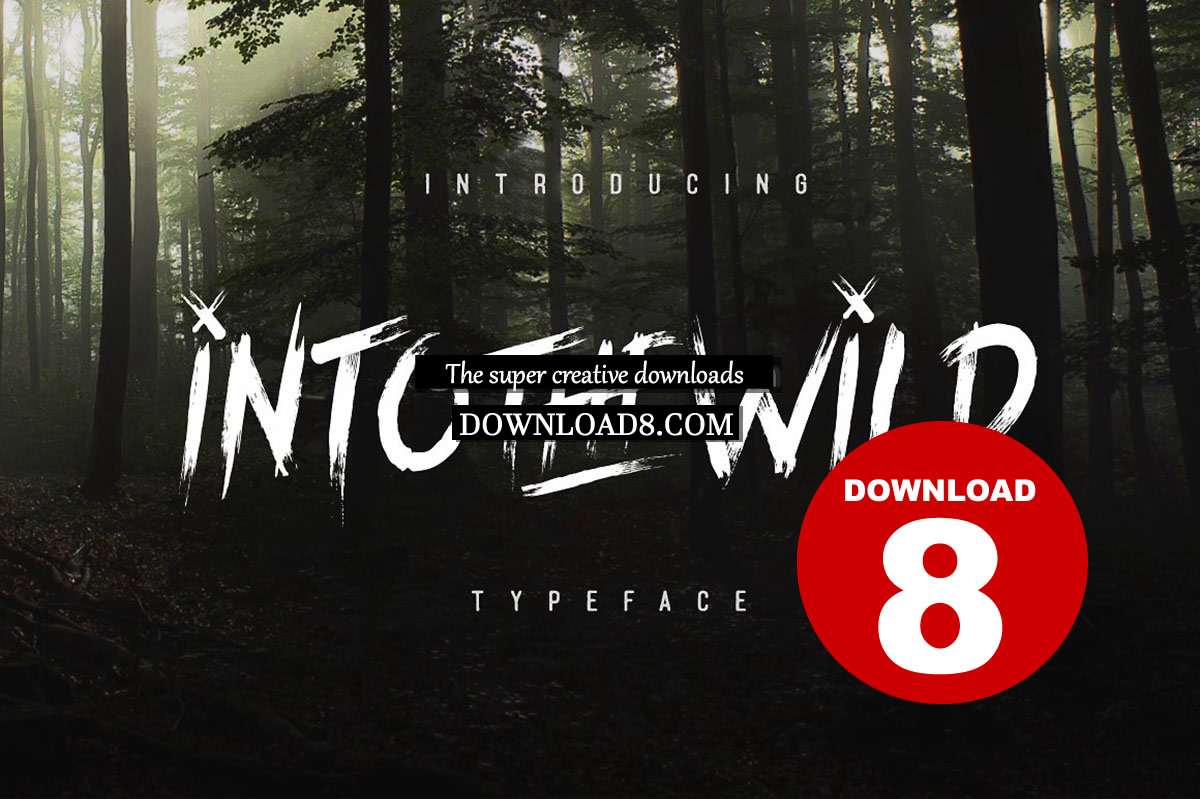 19-Into_the_Wild