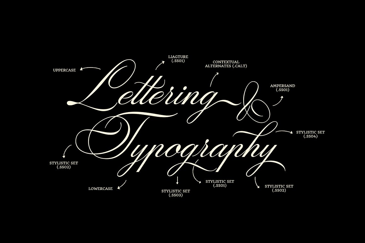 Vintage Grace Meets Modern Design – Handwritten Serif & Calligraphy Fonts for Editorial, Logos & Posters by download8.com 03
