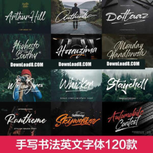Handwritten Brush Script English Font Pack – Procreate Calligraphy, PS & PR Compatible, Wedding & Poster Design Assets