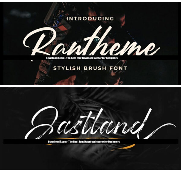 Handwritten Brush Script English Font Pack – Procreate Calligraphy, PS & PR Compatible, Wedding & Poster Design Assets - Image 6